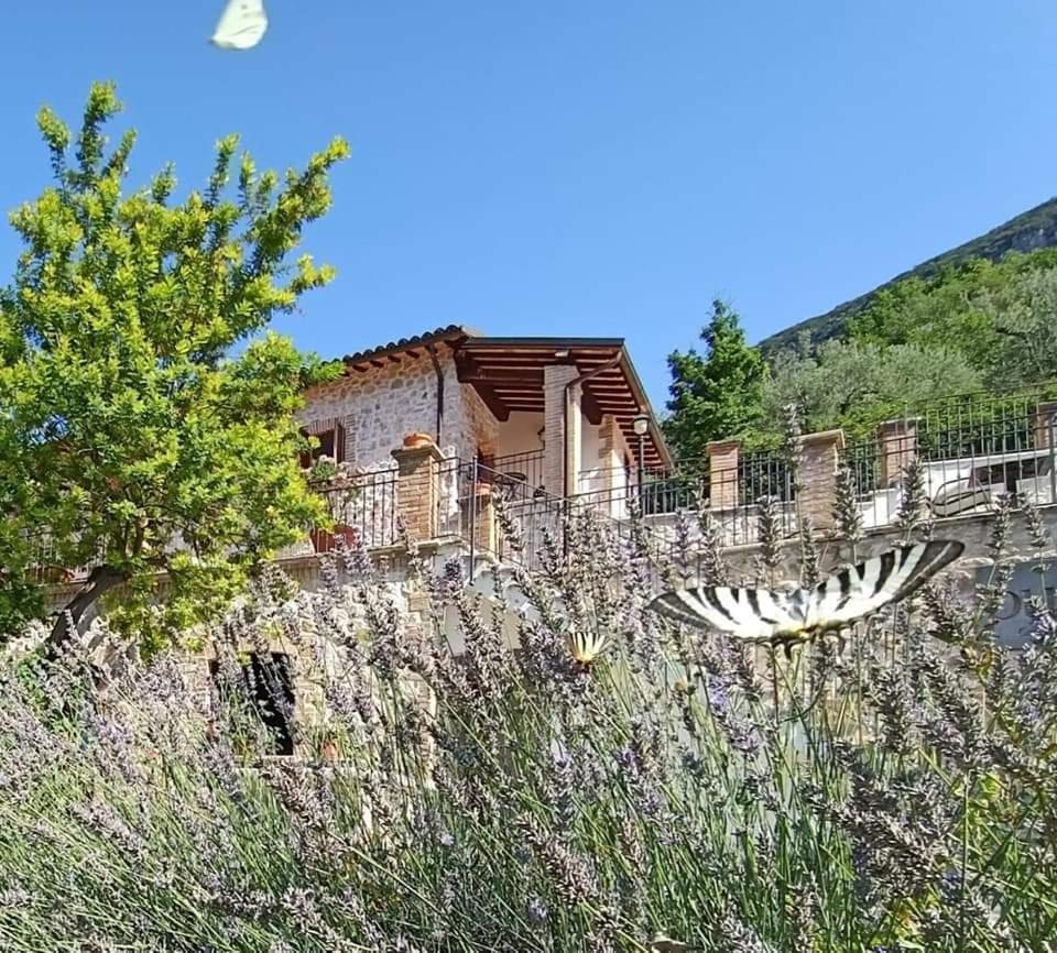 Pucci Country House Ferentillo Luaran gambar